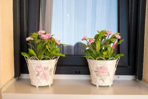 Apartamentos Central Park Lux