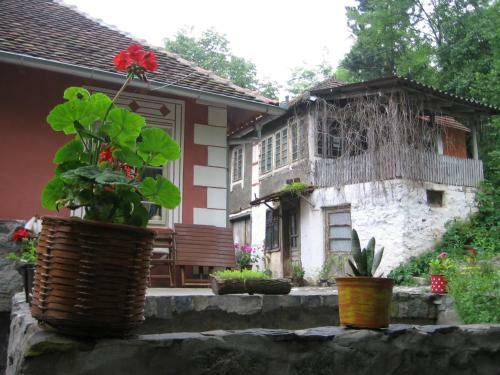 Hostal Ethno Village Slatkovac