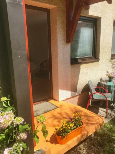 Hostal Guest House Isidora