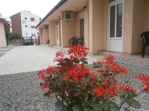 Apartments Svetlica