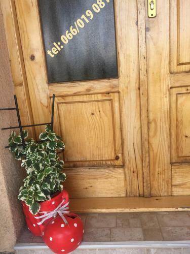 Apartamento Zvezdica