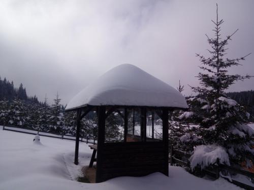 Vikendica Beli Bor