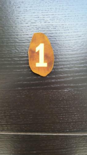 Bed & Breakfast Drinski Konak