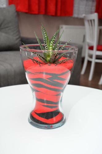 Kruna Apartmani