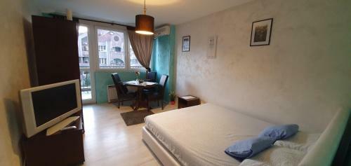 Downtown Apartment
