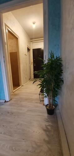 Downtown Apartment