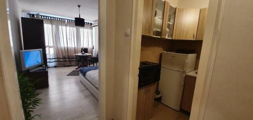 Downtown Apartment