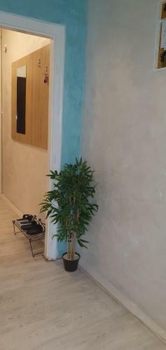 Downtown Apartment