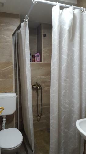 Phoenix Apartment
