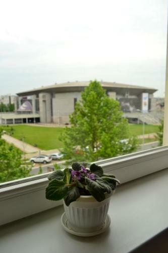 Arena Center Apartment