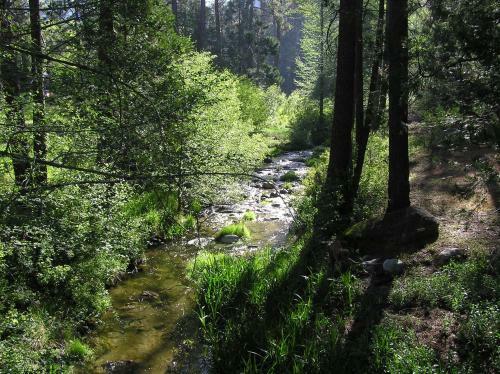 Posada Quiet Creek Inn