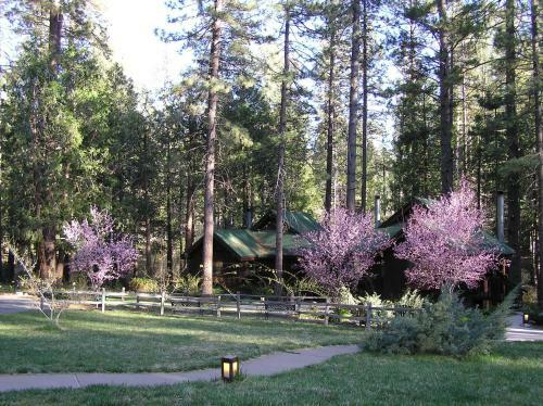 Posada Quiet Creek Inn