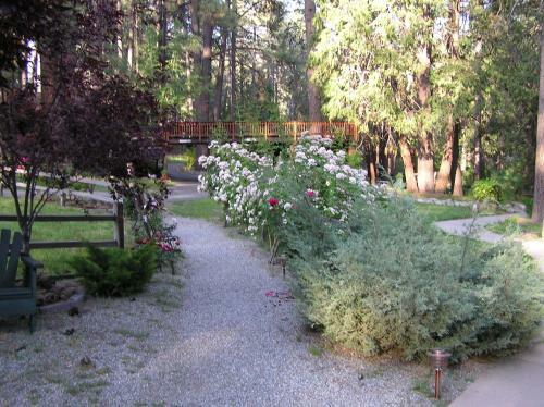 Posada Quiet Creek Inn