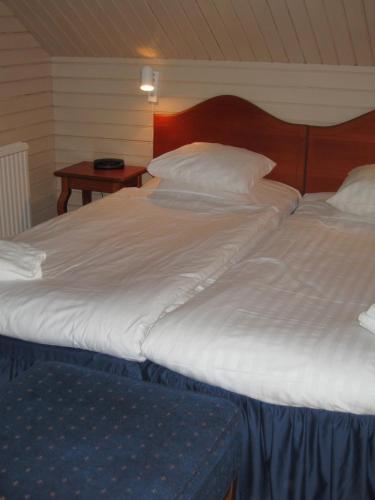 Hotel Enehall Pensionat