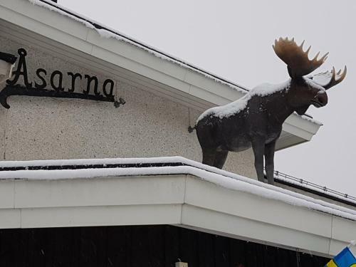 Big Moose Hotell