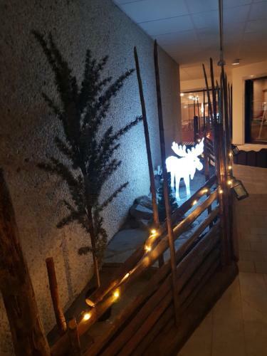 Big Moose Hotell