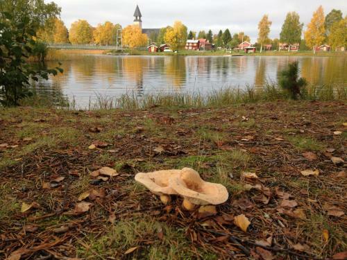 Burtr�sk Camping Och Stugby