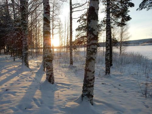 Burtr�sk Camping Och Stugby