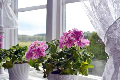 Vilhelmsro Bed & Breakfast
