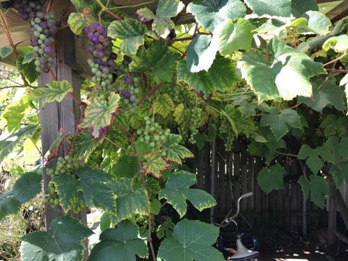 Dons�hus B&B Konferens