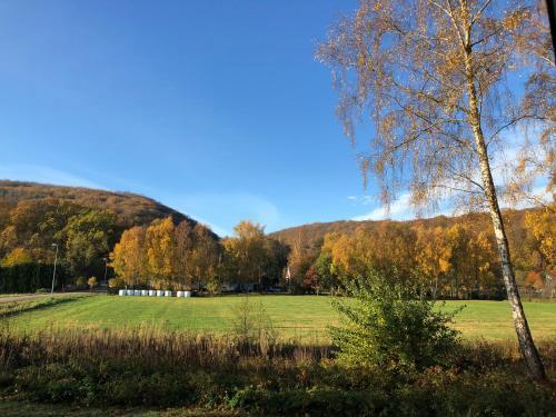 Sk�ralids Camping