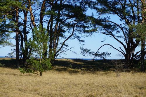 Bed & Breakfast Adagio P� �sterlen