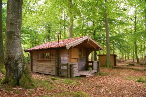 Lodge Bokebacken
