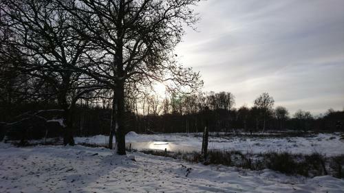 Lodge Bokebacken