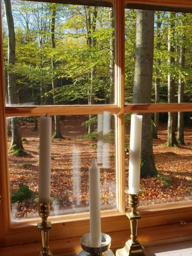 Lodge Bokebacken