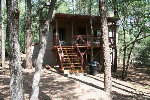Northwoods Resort Cabins