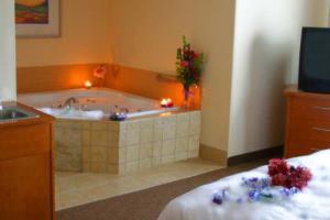Hotel Hampton Inn & Suites Vacaville-napa Valley