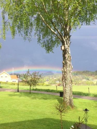 B&B Ale Tingstad