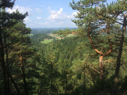 B&B Ale Tingstad