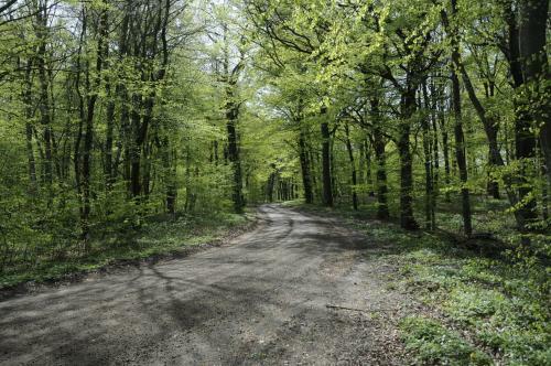 Hostal Stf Baskem�lla Hostel
