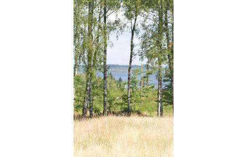 Holiday Home Torarp Lidhult II