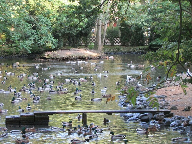 Hallands�sen Hostel & B&B