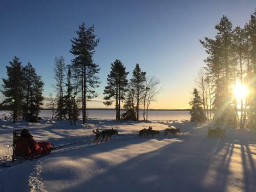 Marjas Stuga