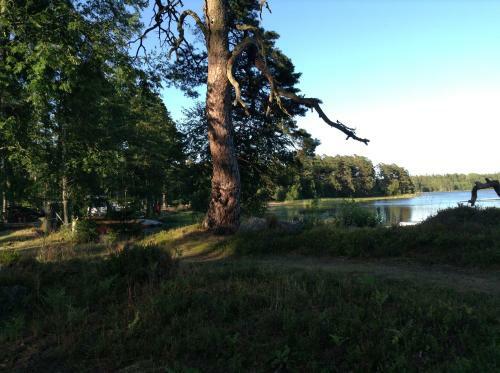 Norraryds Camping