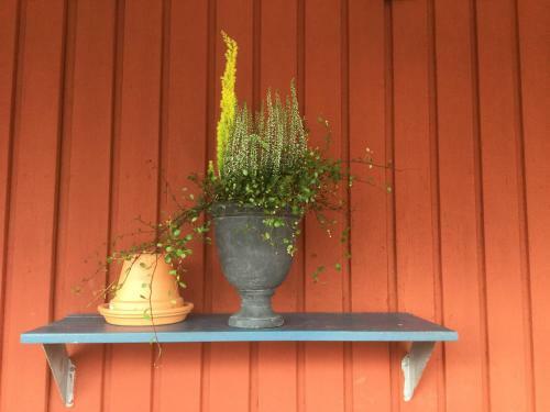 Hostal Bed And Breakfast Fyra H�star