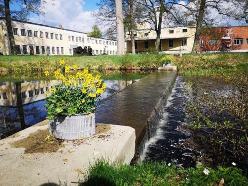 Bed & Breakfast Wedev�gs Herrg�rd