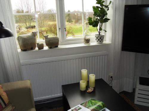 Ekeliden B&B