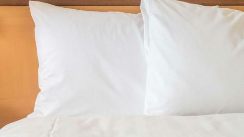 Hotel Sonesta Simply Suites Knoxville