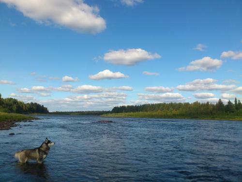 Hostal Lapland Guesthouse