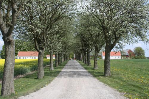 Agroturismo Wirketorp Countryside Hotel