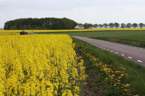 Agroturismo Wirketorp Countryside Hotel