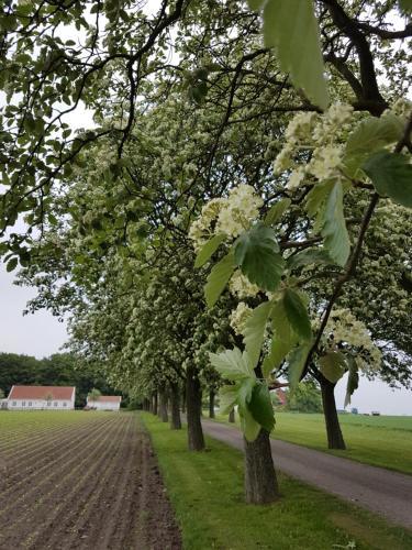 Agroturismo Wirketorp Countryside Hotel