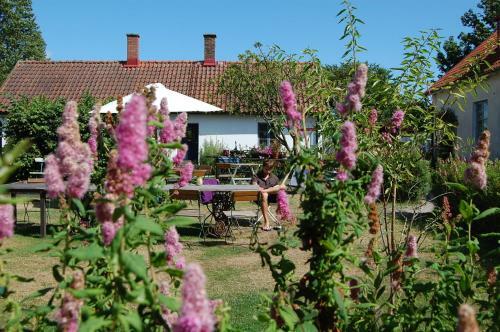 Albergue Stf Vandrarhem Back�kra