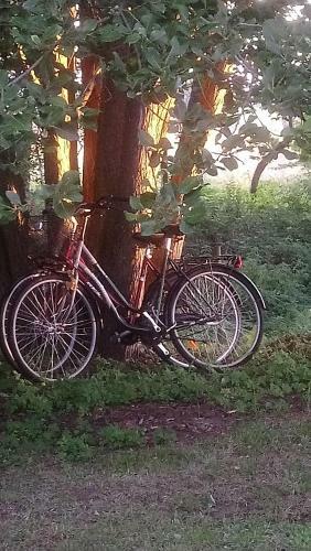 Ejag�rden B&B En Suite