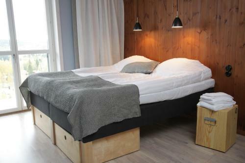 Hotel Bergshotellet