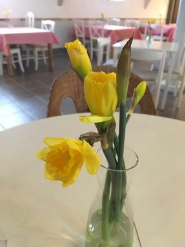 Borrby Fr� B&B